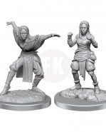Pathfinder Battles Deep Cuts nenamaľovaná figúrkas 2-Packs Half-Elf Monk Female Case (2)